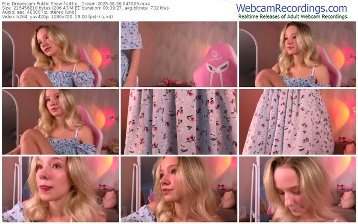dreamcam-little__dream-08-26-2025-04-30-09