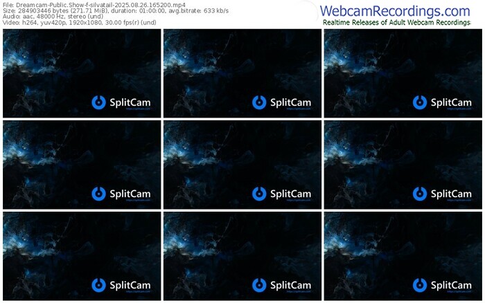 dreamcam-silvatail-08-26-2025-16-52-00
