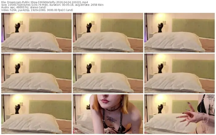 dreamcam-milkmesofly-04-04-2026-10-02-21