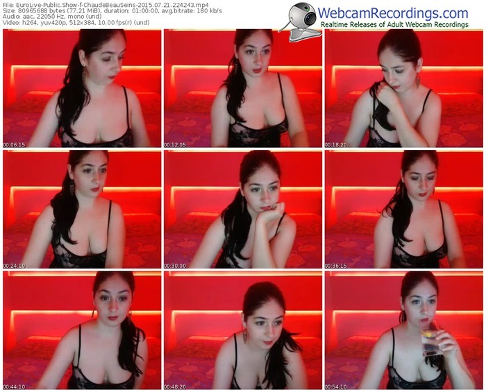 eurolive-chaudebeauseins-public-show-07_21_2015-22_42_43