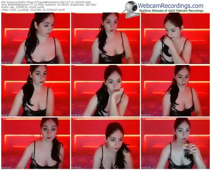 eurolive-chaudebeauseins-public-show-07_21_2015-22_42_43