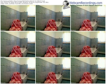 eurolive-jonquillebrillante-public-show-07_21_2015-08_01_57