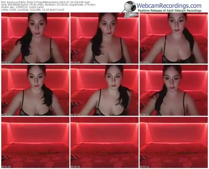 eurolive-chaudebeauseins-public-show-07_24_2015-20_10_49