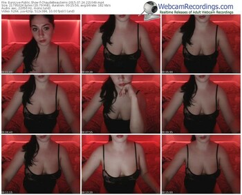 eurolive-chaudebeauseins-public-show-07_24_2015-22_10_49