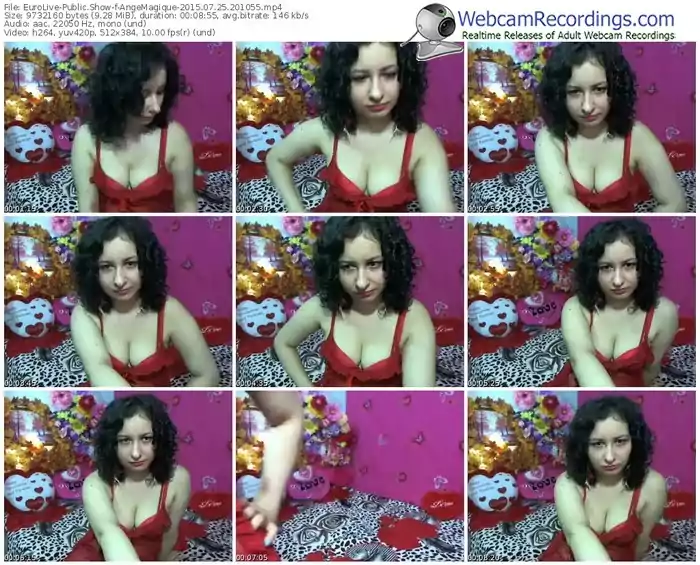 eurolive-angemagique-public-show-07_25_2015-20_10_55