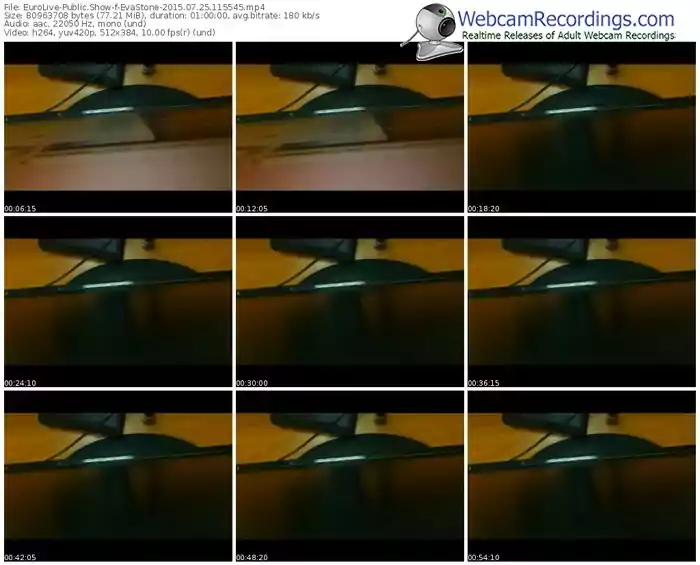 eurolive-evastone-public-show-07_25_2015-11_55_45