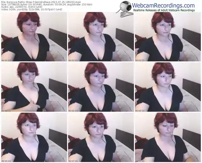 eurolive-seinsdereve-public-show-07_25_2015-18_50_53