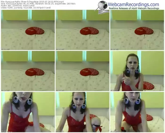 eurolive-chaudejay-public-show-07_26_2015-01_45_56