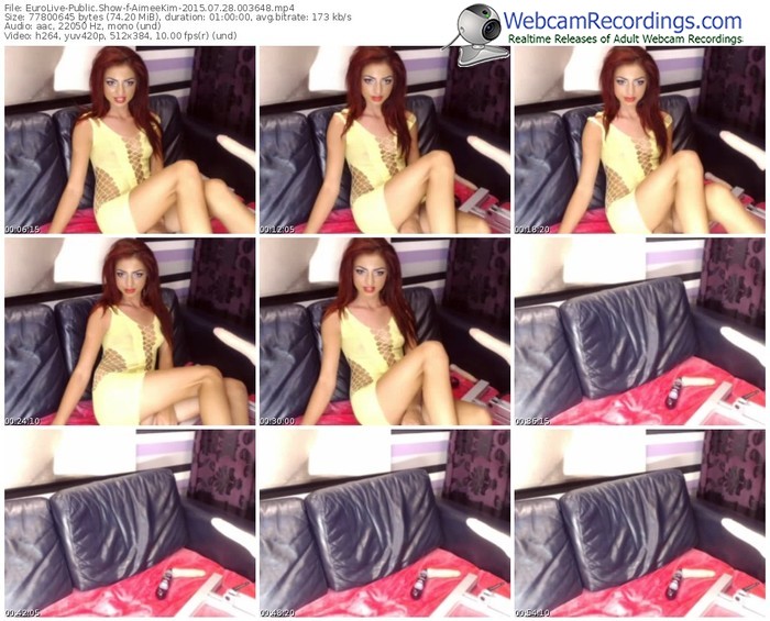 eurolive-aimeekim-public-show-07_28_2015-00_36_48