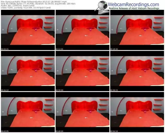 eurolive-alexandjunko-public-show-07_28_2015-08_06_57