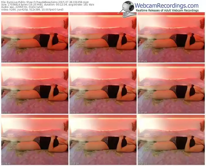 eurolive-chaudebeauseins-public-show-07_28_2015-03_16_58