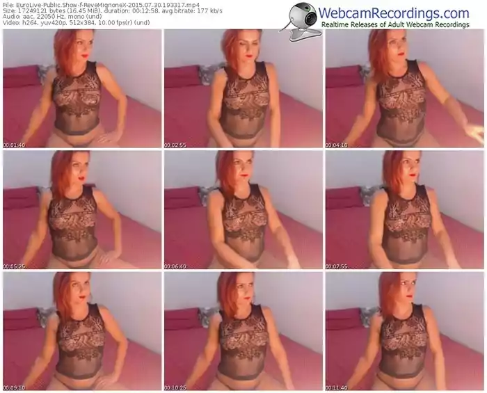 eurolive-revemignonex-public-show-07_30_2015-19_33_17