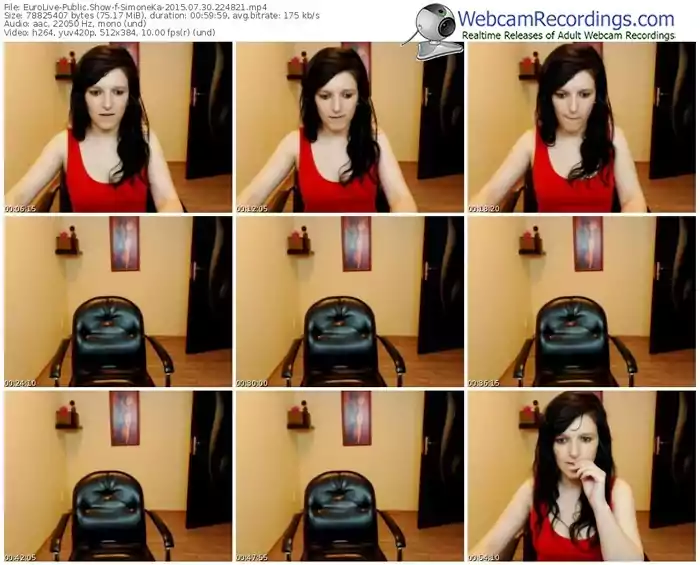 eurolive-simoneka-public-show-07_30_2015-22_48_21