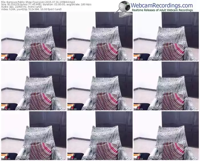 eurolive-juicylizz-public-show-07_31_2015-19_58_44