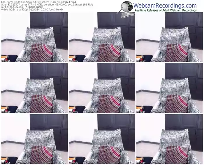 eurolive-juicylizz-public-show-07_31_2015-20_58_44