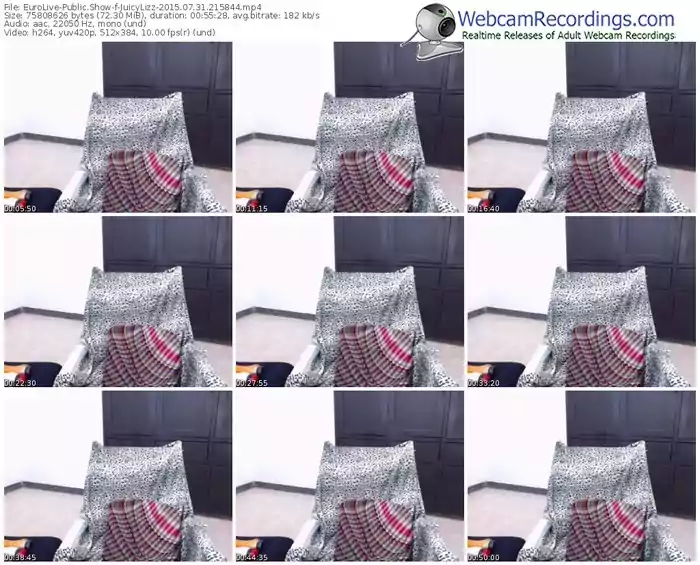 eurolive-juicylizz-public-show-07_31_2015-21_58_44