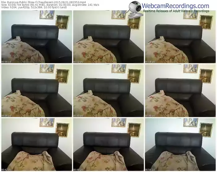 eurolive-chaudassex-public-show-08_01_2015-08_23_53