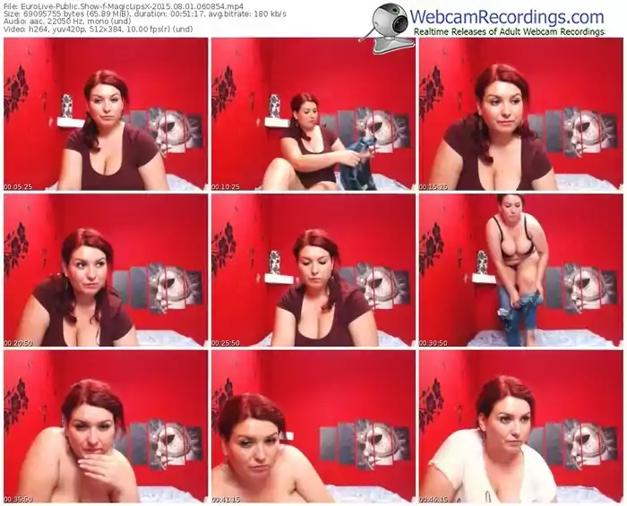 eurolive-magiclipsx-public-show-08_01_2015-06_08_54