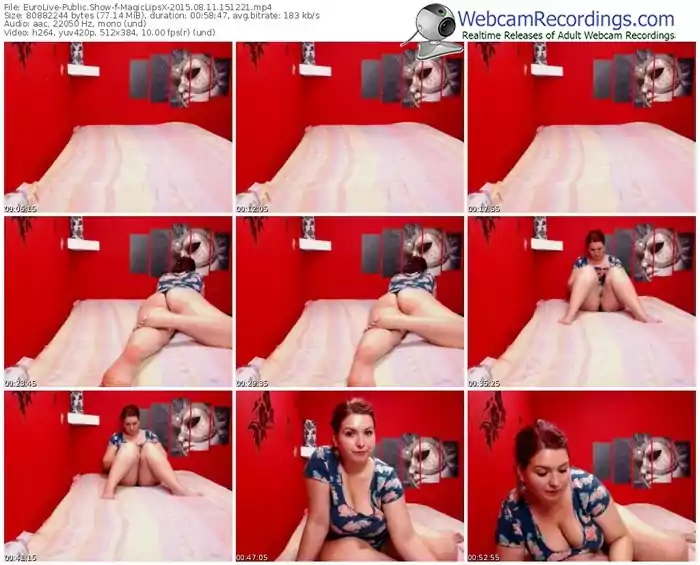 eurolive-magiclipsx-public-show-08_11_2015-15_12_21