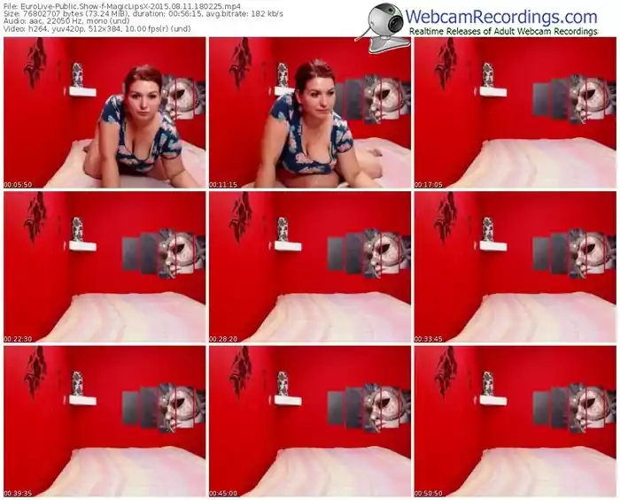 eurolive-magiclipsx-public-show-08_11_2015-18_02_25