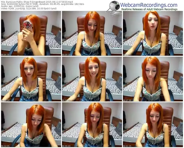 eurolive-gingerbeast-public-show-08_12_2015-07_30_33