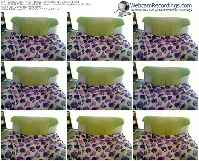 eurolive-rougedesire-public-show-08_12_2015-07_40_34