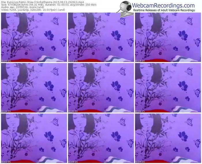 eurolive-sinfulldesire-public-show-08_13_2015-23_26_10