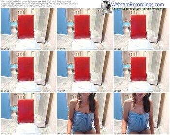 eurolive-chaudefontaine-public-show-08_14_2015-08_16_19