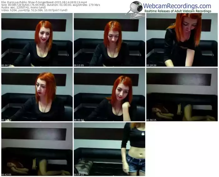 eurolive-gingerbeast-public-show-08_14_2015-06_31_19