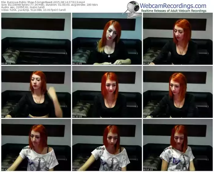 eurolive-gingerbeast-public-show-08_14_2015-07_31_19