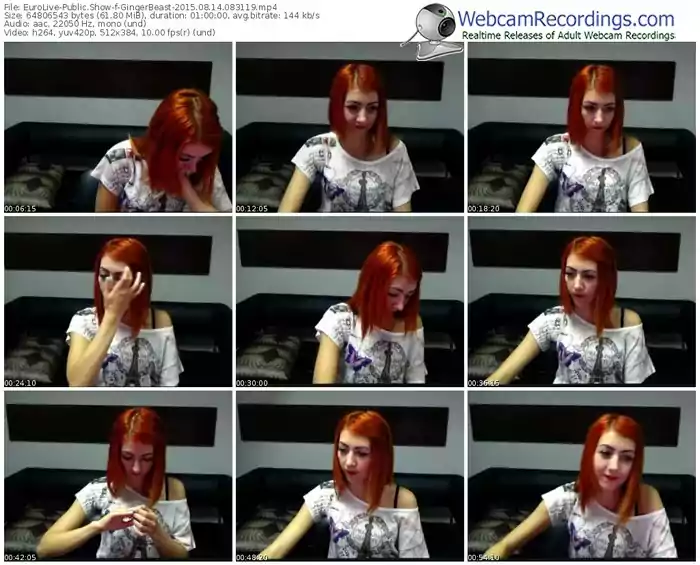 eurolive-gingerbeast-public-show-08_14_2015-08_31_19