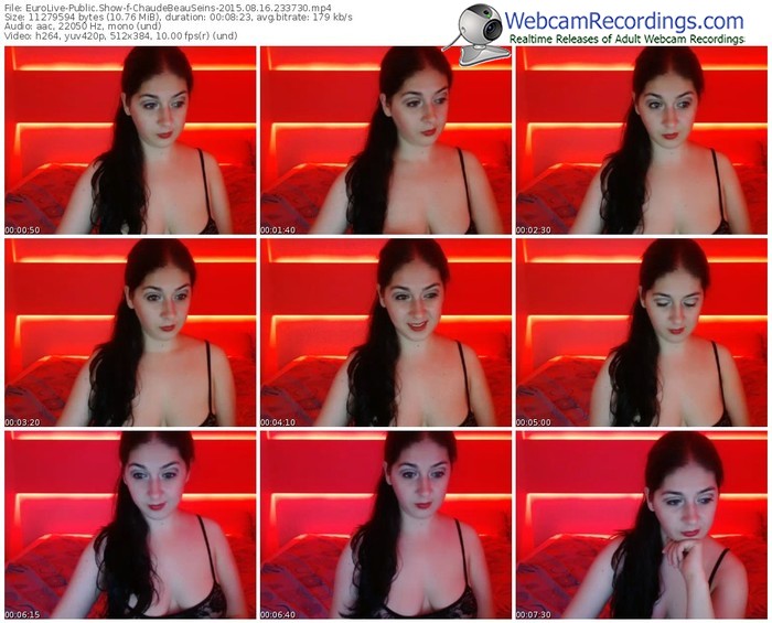 eurolive-chaudebeauseins-public-show-08_16_2015-23_37_30