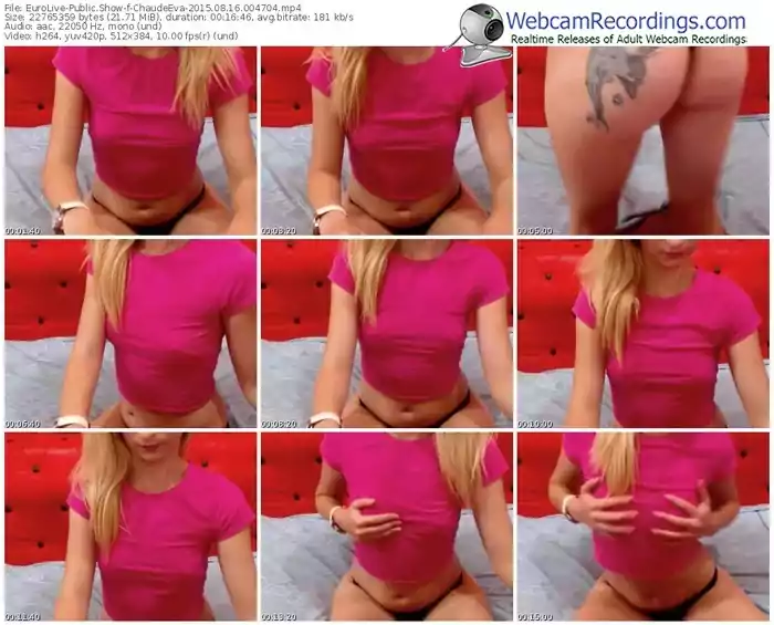 eurolive-chaudeeva-public-show-08_16_2015-00_47_04