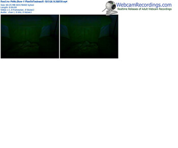 eurolive-fleurdetendressex-public-show-08_16_2015-20_02_29