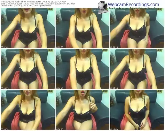 eurolive-perleexitante-public-show-08_16_2015-01_17_04