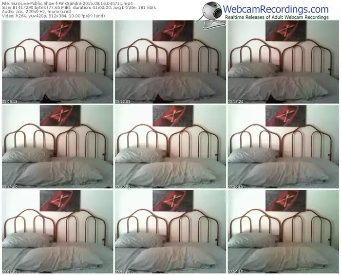 eurolive-pinksandra-public-show-08_16_2015-04_57_11