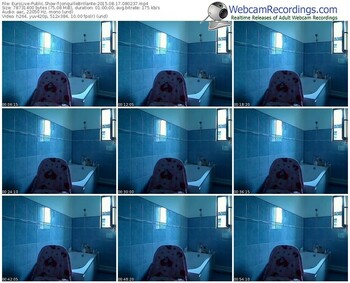 eurolive-jonquillebrillante-public-show-08_17_2015-08_02_37