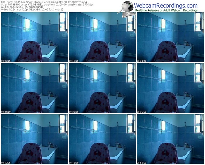 eurolive-jonquillebrillante-public-show-08_17_2015-08_02_37