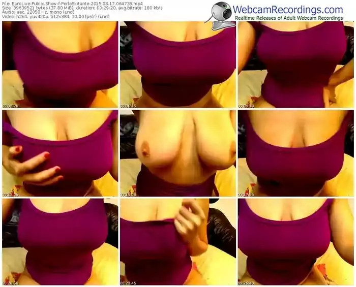 eurolive-perleexitante-public-show-08_17_2015-06_47_38