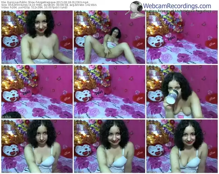 eurolive-angemagique-public-show-08_18_2015-01_23_03