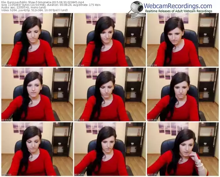 eurolive-simoneka-public-show-08_30_2015-02_38_45