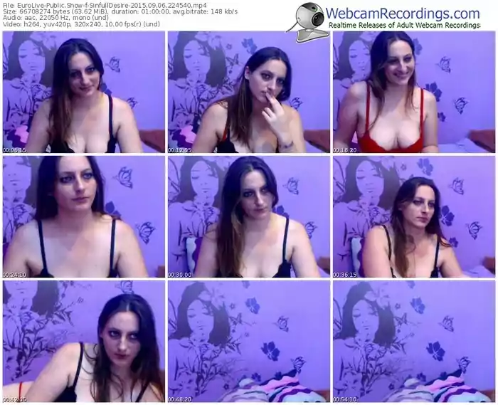 eurolive-sinfulldesire-public-show-09_06_2015-22_45_40