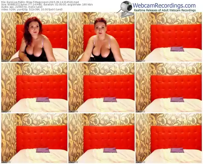 eurolive-magiclipsx-public-show-09_14_2015-01_45_20
