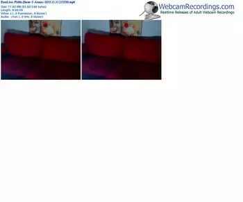 eurolive-annee-webcam-show-11_11_2015-21_23_39