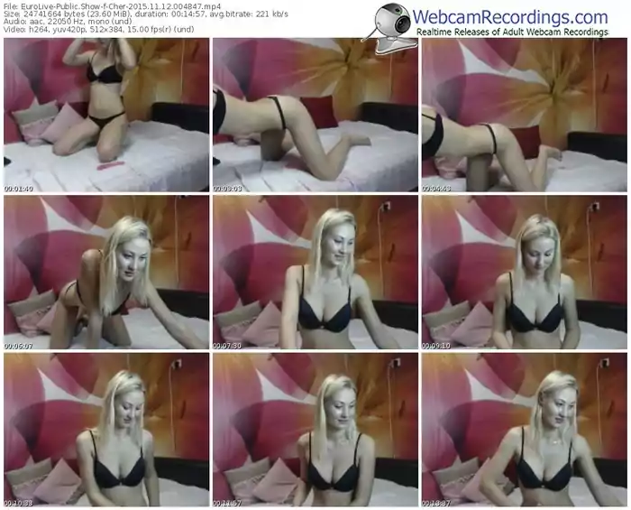 eurolive-cher-webcam-show-11_12_2015-00_48_47