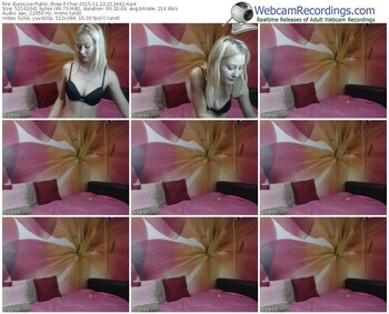 eurolive-cher-webcam-show-11_22_2015-21_24_42