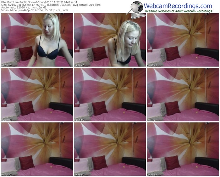 eurolive-cher-webcam-show-11_22_2015-21_24_42