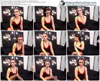 eurolive-misslorry-webcam-show-11_23_2015-08_22_28