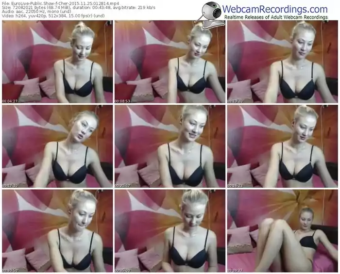 eurolive-cher-webcam-show-11_25_2015-01_28_14