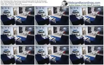 flirt4free-live_cams_mansion-webcam-show-03_28_2016-20_16_52